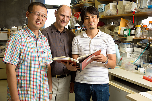 Research associate Guanghui Liu, Professor Juan Carols Izpisua Belmonte, and  Keiichiro Suzuki, research associate.