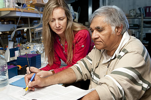 From left:  Postdoctoral researcher Dinorah Friedmann-Morvinski and 
Inder Verma, professor in Salk's Laboratory of Genetics.