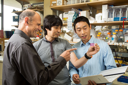 Juan Carlos Izpisua Belmonte, Keiichiro Suzuki and Mo Li of the Gene Expression Laboratory