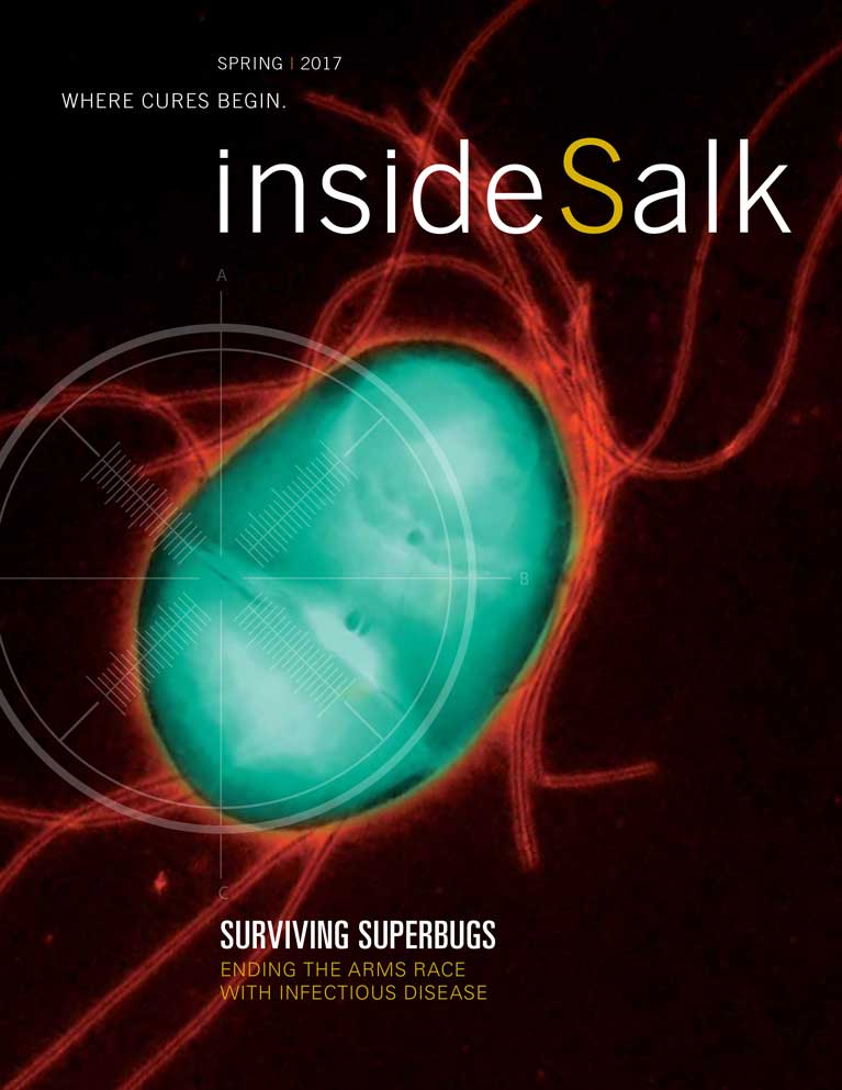 inside-salk-spring-2017-cover-767