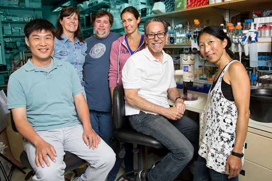 Jae Myoung Suh, Annette Atkins, Michael Downes, Maryam Ahmadian, Ronald Evans and Ruth Yu of the Gene Expression Laboratory 