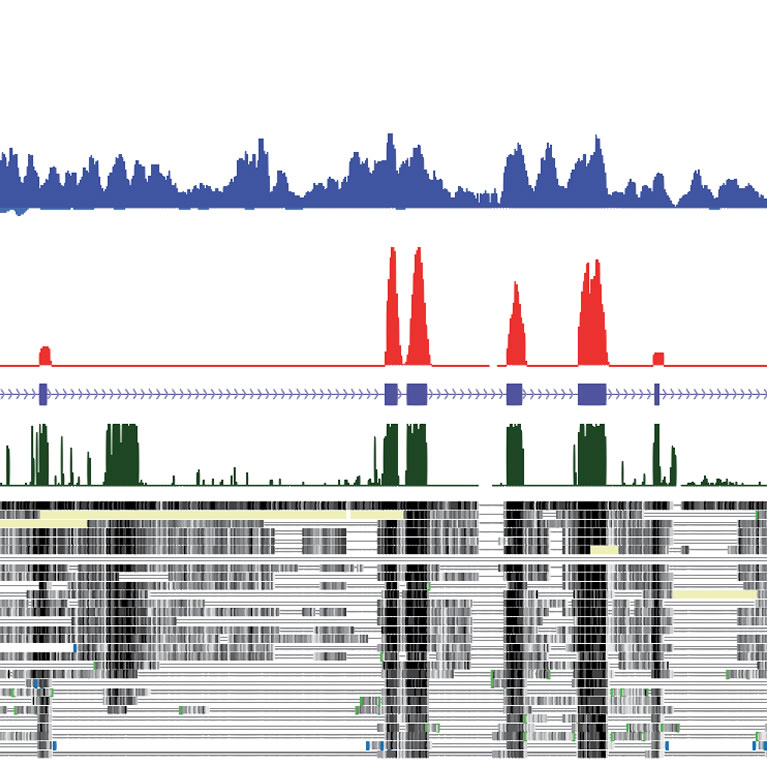 Integrative Genomics and Bioinformatics