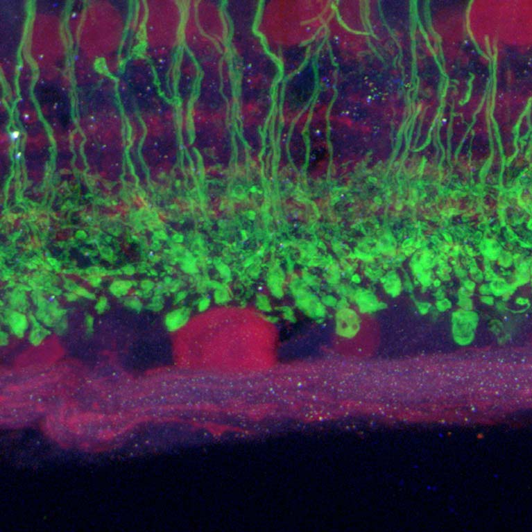 20170905_120021_HDR  Ecker Lab - Salk Institute for Biological