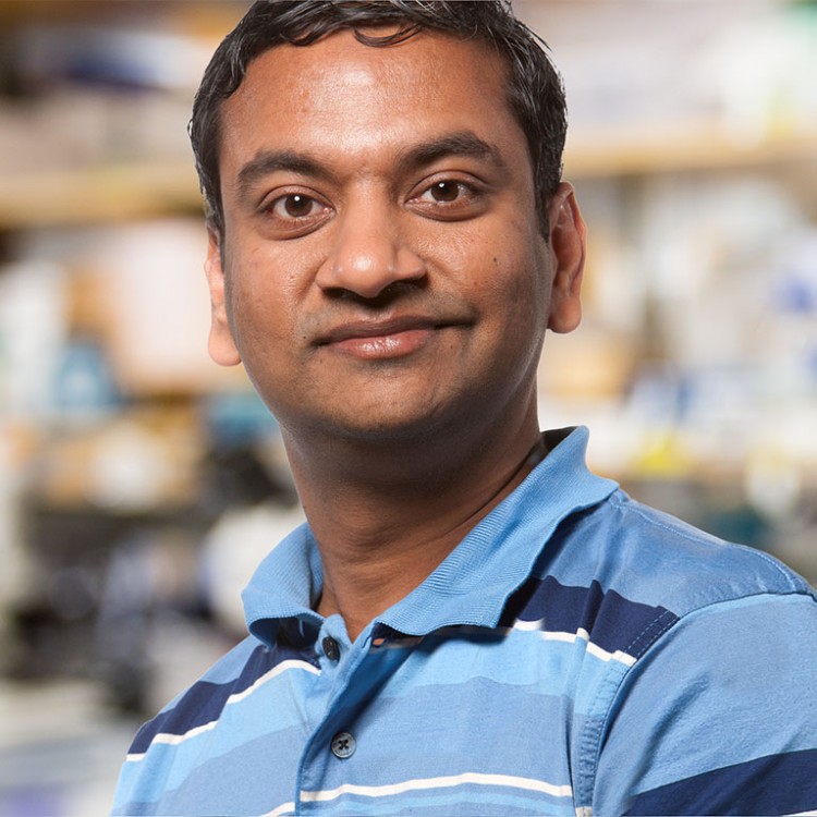 Salk Institute to Lead $41.3M ARPA-H Project Advancing Sonogenetics Therapies