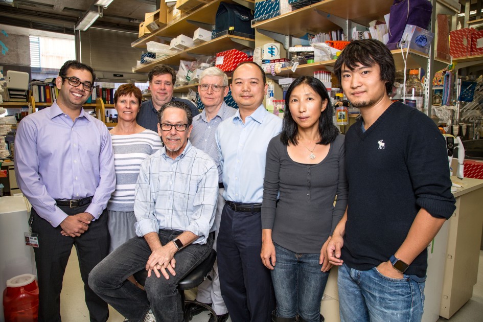 Sagar Bapat, Ann Atkins, Michael Downes, Ronald Evans, Chris Liddle, Ye Zheng, Ruth Yu and Sihao Liu