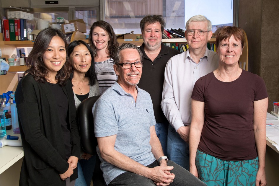 From left: Nasun Hah, Ruth Yu, Mara Sherman, Ron Evans, Michael Downes, Chris Liddle and Ann Atkins