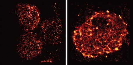 Hu_etal_Fig2_news_release2r