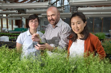 From left: Shao-shan Carol Huang, Joseph Ecker and Liang Song