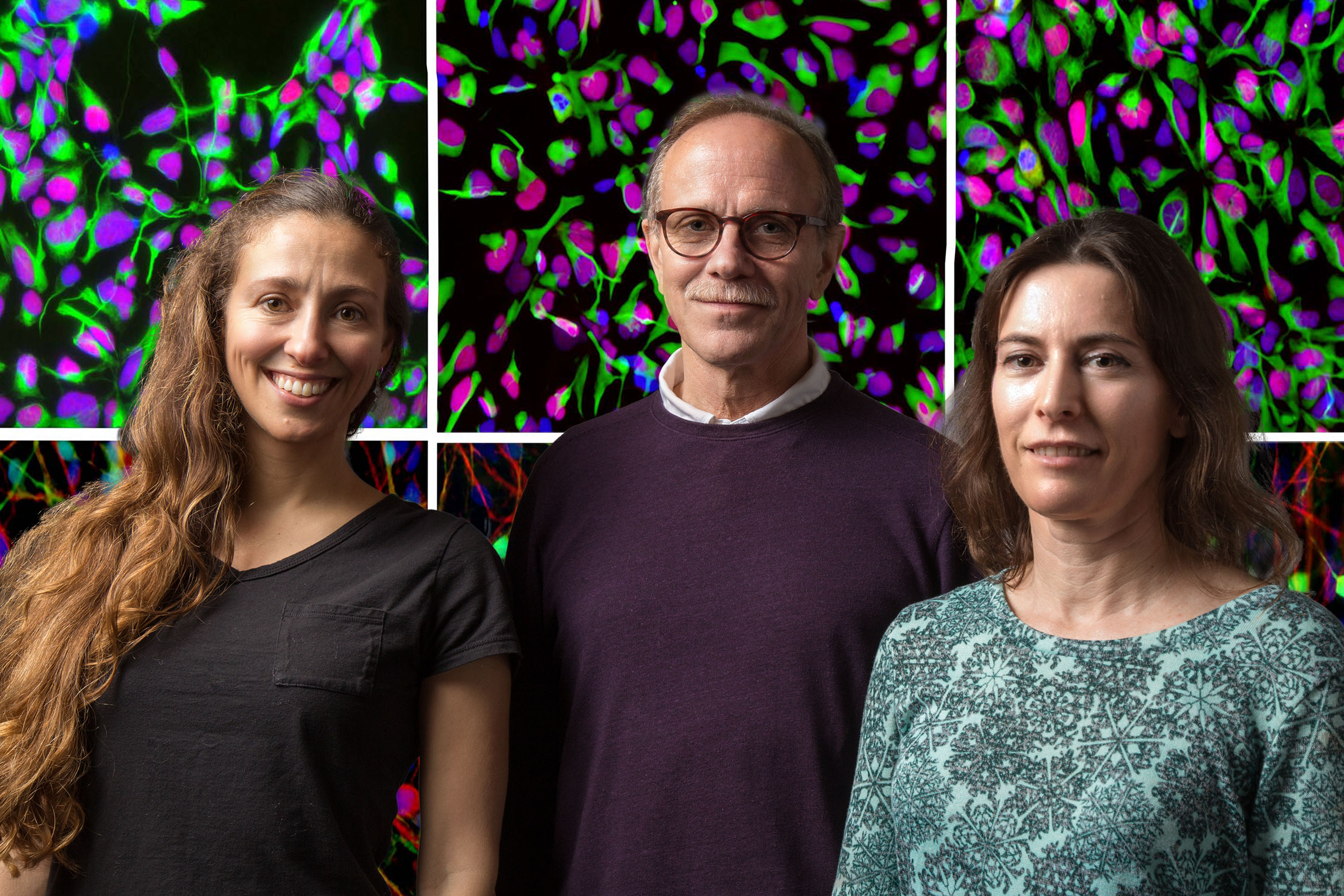 Salk Institute researchers Rusty Gage, Carole Marchetto and Shani Stern