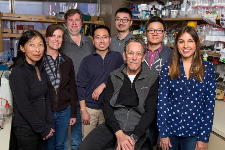 From left (front row): Ruth Yu, Ronald Evans, Wanda Waizenegger; (middle): Annette Atkins, Nanhai He, Weiwei Fan; (back): Michael Downes, Zong Wei.