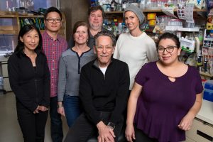 From left (front row): Ron Evans, Sandra Jacinto; (middle) Ruth Yu, Annette Atkins, Maryam Ahmadian; (back) Weiwei Fan, Michael Downes