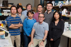 From left: (front row) Nanhai He, Gabriela Estepa, Ron Evans and Ruth Yu; (back row) Eiji Yoshihara, Michael Downes, Weiwei Fan and Zong Wei.