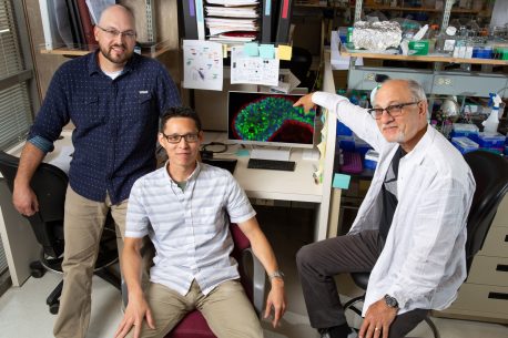 From left: Christopher Dravis, Chi-Yeh Chung and Geoffrey Wahl.