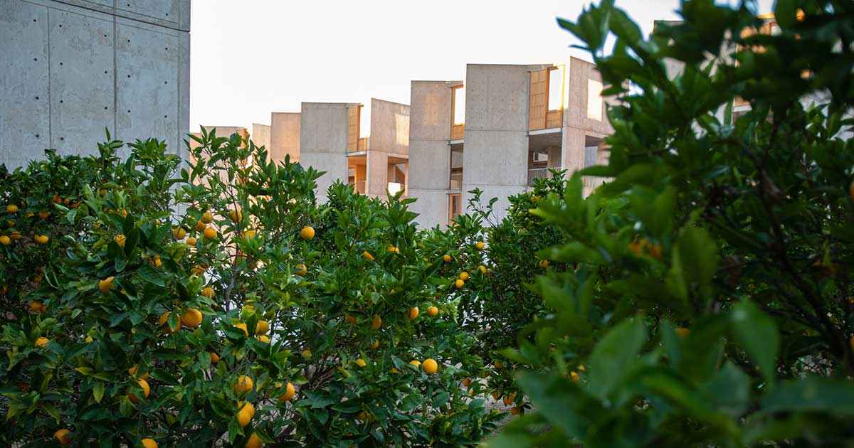 Explore Salk Architecture Guide Salk Institute For Biological Studies