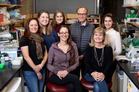 Desde la izquierda: (frente) Ruth Keithley, Carol Marchettol, Lynne Randoph-Moore; (atrás) Kelly Heard, Callie Fredlender, Rusty Gage, Ana Mendes.