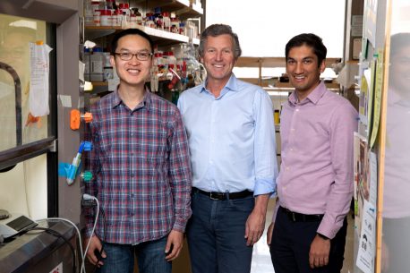 Peichao Li, Edward Callaway e Anupam Garg