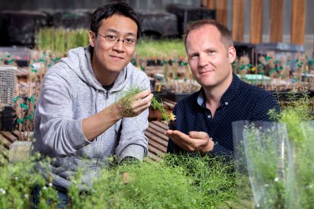 From left: Takehiko Ogura and Wolfgang Busch.