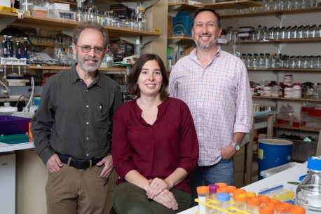 From left: Marc Montminy, Laura Rodón and Reuben Shaw.