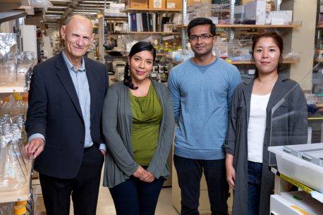 From left: Juan Carlos Izpisua Belmonte, Reyna Hernandez-Benitez, Pradeep Reddy and Mako Yamamoto.