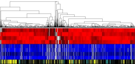 Computational analysis revealing targets of metformin.