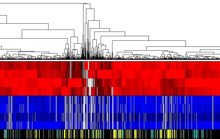 Reuben Shaw—Unexpected results - Inside Salk