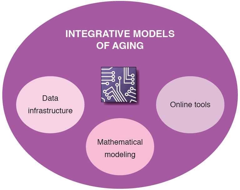 Integrative Models of Aging