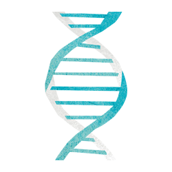 Genetics