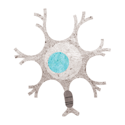 Neuroscience