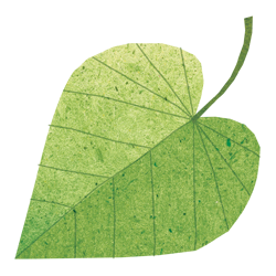 Plant Biology