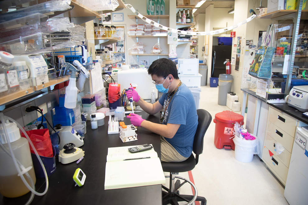 The Salk Institute, Laboratory Construction