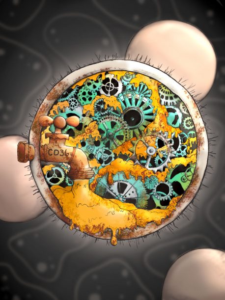 The image depicts the role of CD36 in regulating CD8+ T cell ‘exhaustion’ with CD36 shown as a faucet that allows the import of oxidized lipids (yellow fluid) into the T cell, which then corrodes and gums up its gears, impairing anti-tumor functions.