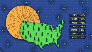 Salk study combines data on cancer DNA mutations with rates of cancer development to discover the most commonly mutated genes in all cancers. 