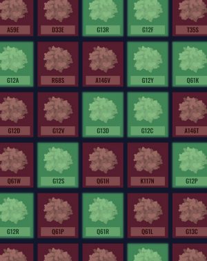 Stites Cell Reports Cover