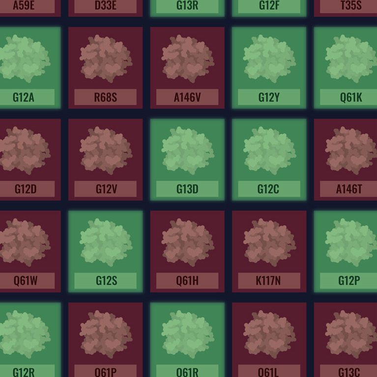 Stites Cell Reports Cover