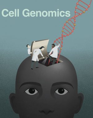 La imagen de portada muestra una nueva tecnología que puede ayudar a los investigadores a comprender el funcionamiento interno del cerebro humano.