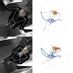 Motion capture technology is used to classify human behavior in an art exhibition. 