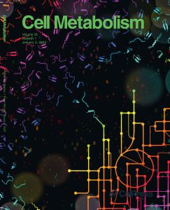 Las microproteínas y las proteínas pequeñas llamadas smORF son potencialmente una rica fuente de reguladores del metabolismo no caracterizados.