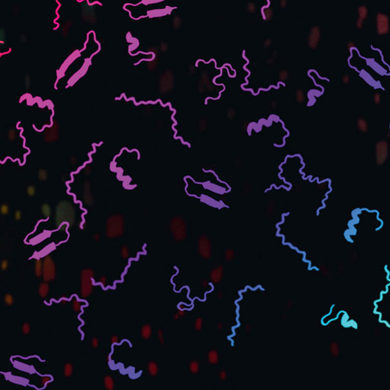 Microproteins and small proteins called smORFs are potentially a rich source of uncharacterized regulators of metabolism.