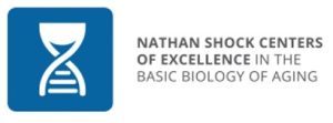 NSC logo