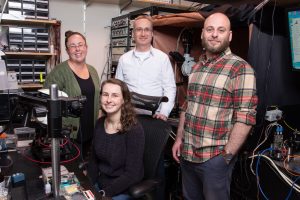 Daniela Duarte, Erin Carey, Axel Nimmerjahn, and Pavel Shekhtmeyster