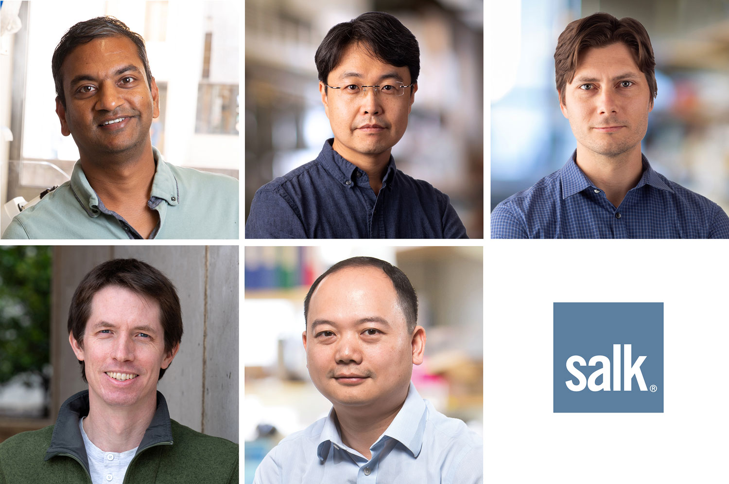 Salk Institute promotes five faculty members in genetics, structural  biology, immunobiology, and neuroscience - Salk Institute for Biological  Studies
