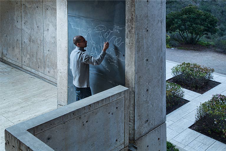 interior salk institute