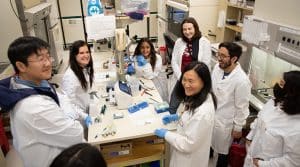 Salk scientists discover more versatile approach to creating stem