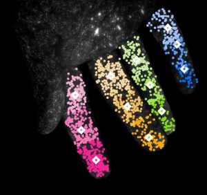 Mano humana marcada con etiquetas fluorescentes GlowTrack.