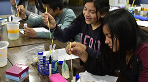 Students in a classroom