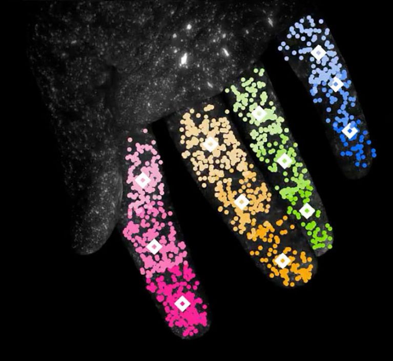 colorized hand