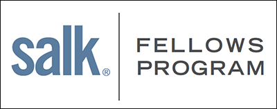 Salk Fellows Program