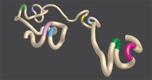 Una representación de la arquitectura de la cromatina que demuestra los bucles de ADN. El tramo de ADN (bronceado) está acentuado con porciones coloreadas del código genético (verde y rosa, azul y amarillo, verde claro y violeta, y violeta claro y azul claro) que se acercan mediante la formación de bucles.