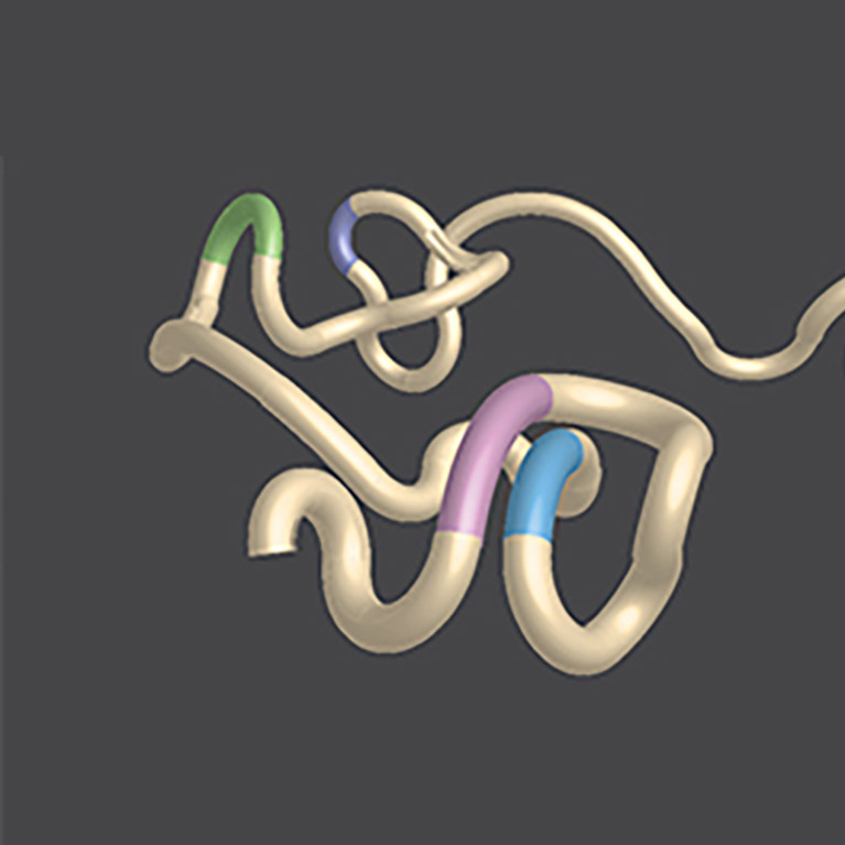 Affinity Groups - Salk Institute for Biological Studies