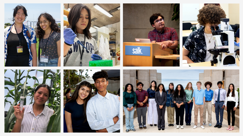 Heithoff-Brody High School Scholars Program - Salk Institute for Biological Studies